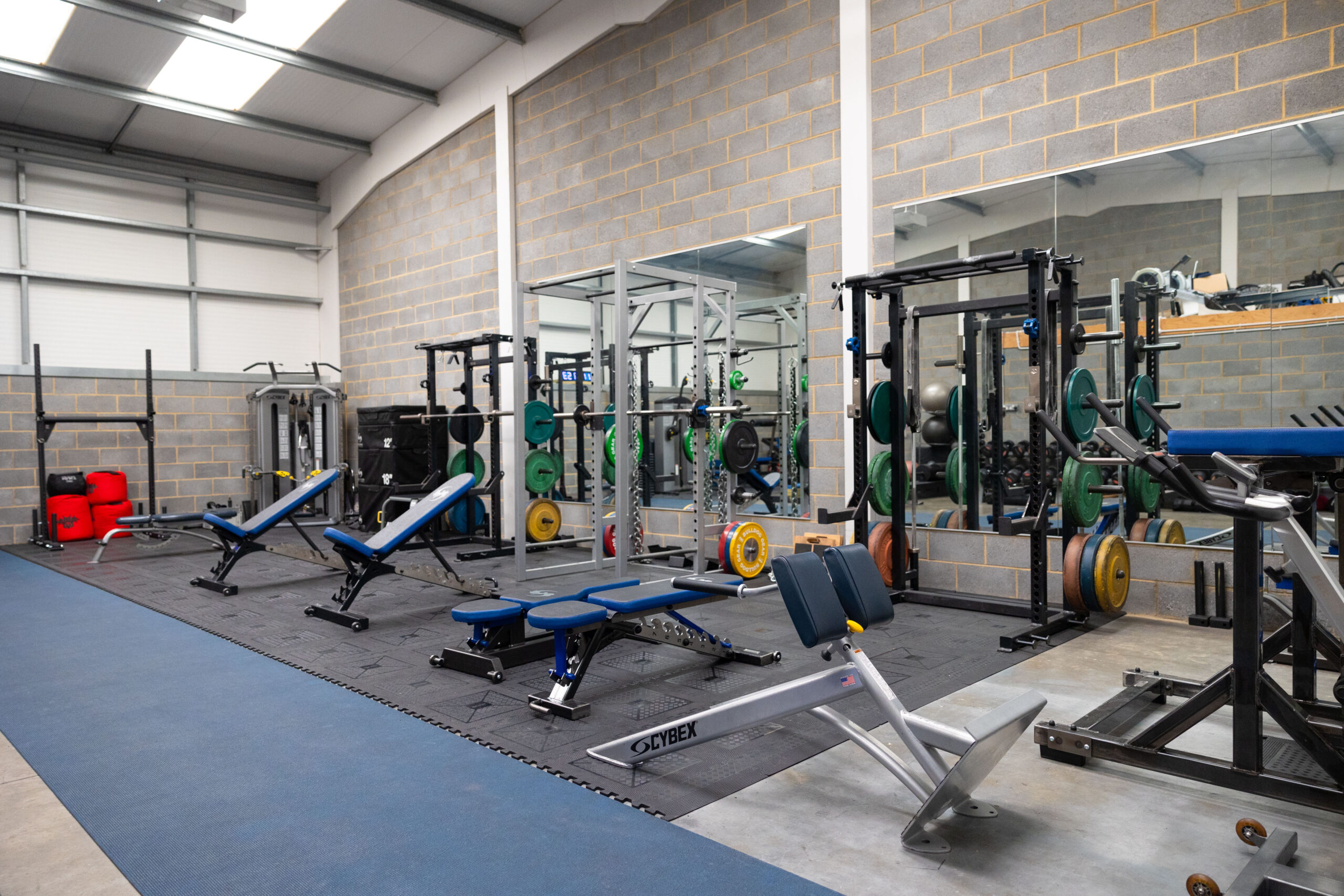 Phoenix Gym with Weights and Benches